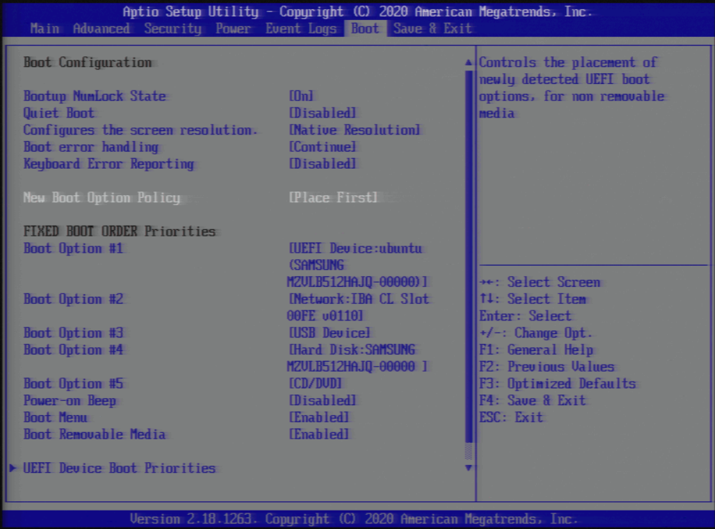 Image showing BIOS setup